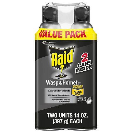 Raid (14-ounce wasp & hornet killer 33, 2 pack)