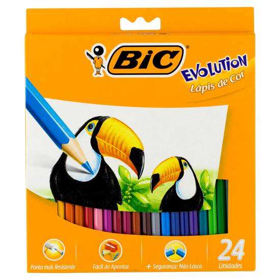 Bic lápis de cor 24 cores evolution
