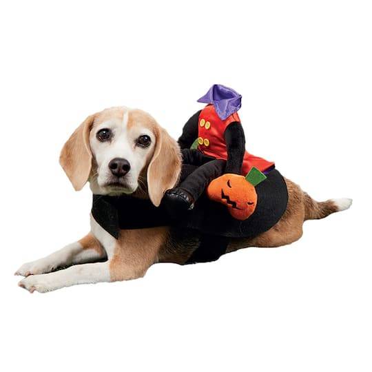 Assorted Headless Horseman Pet Costume By Ashland