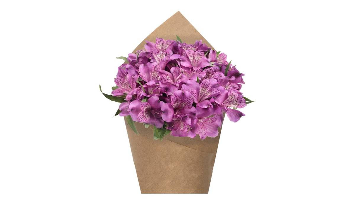 Alstroemeria Bunch - Purple, 6 stem