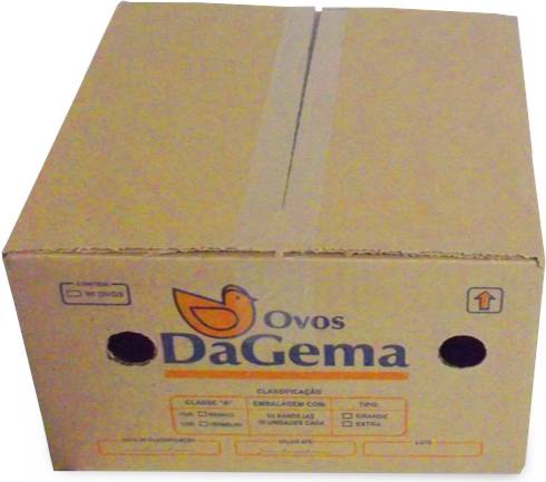 Dagema ovo branco grande (90 unidades)