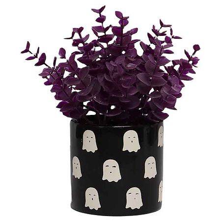 Festive Voice Ghost Halloween Succulent - 1.0 ea