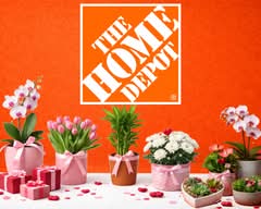 The Home Depot 🛒(Xalapa)