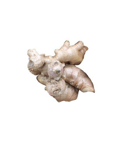 Organic ginger - Gingembre bio