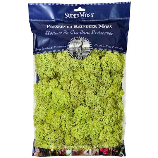 Supermoss Preserved Reindeer Moss