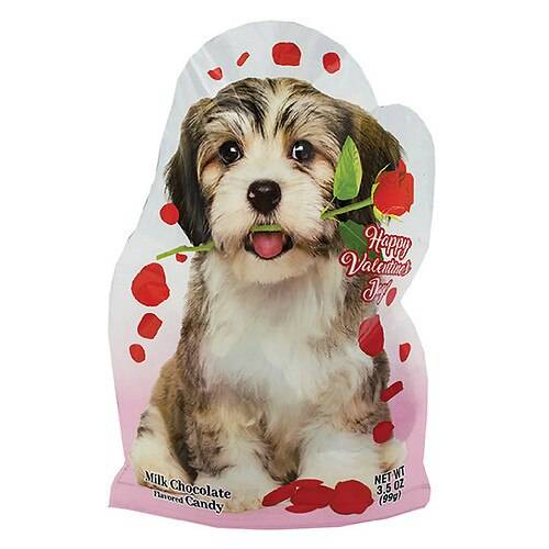 Order R.M. Palmer Valentine's Milk Chocolate Flavored Foil Hearts in Puppy Bag - 3.5 oz food online from Walgreens store, Monroe on bringmethat.com