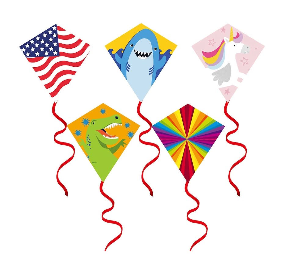 Outdoor Fun Kite, Assorted Designs, 1-ct.
