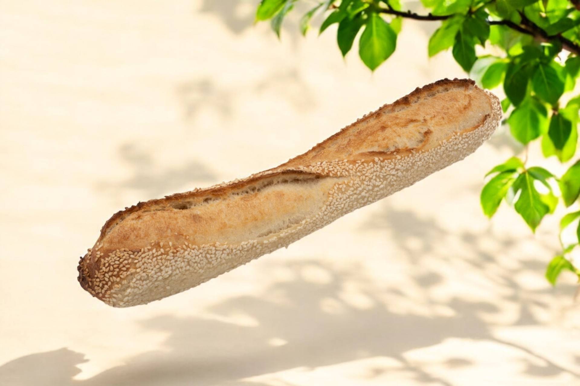 Demi Tradition Sésame🥖🥖
