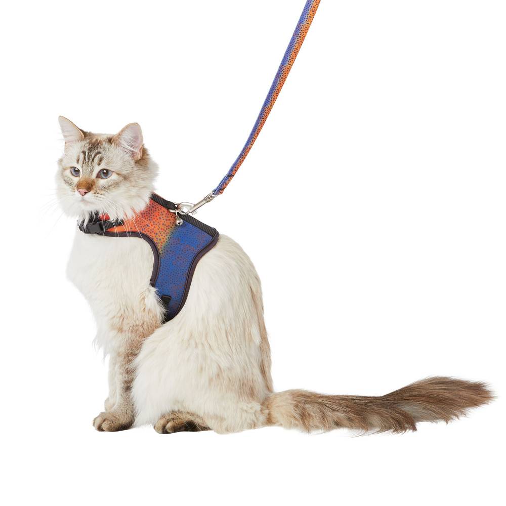 Whisker City® Trout Print Cat Leash & Harness Combo (Color: Multi Color, Size: Cat (Adult))