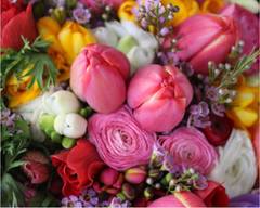 Ficus Flora Flower Shop