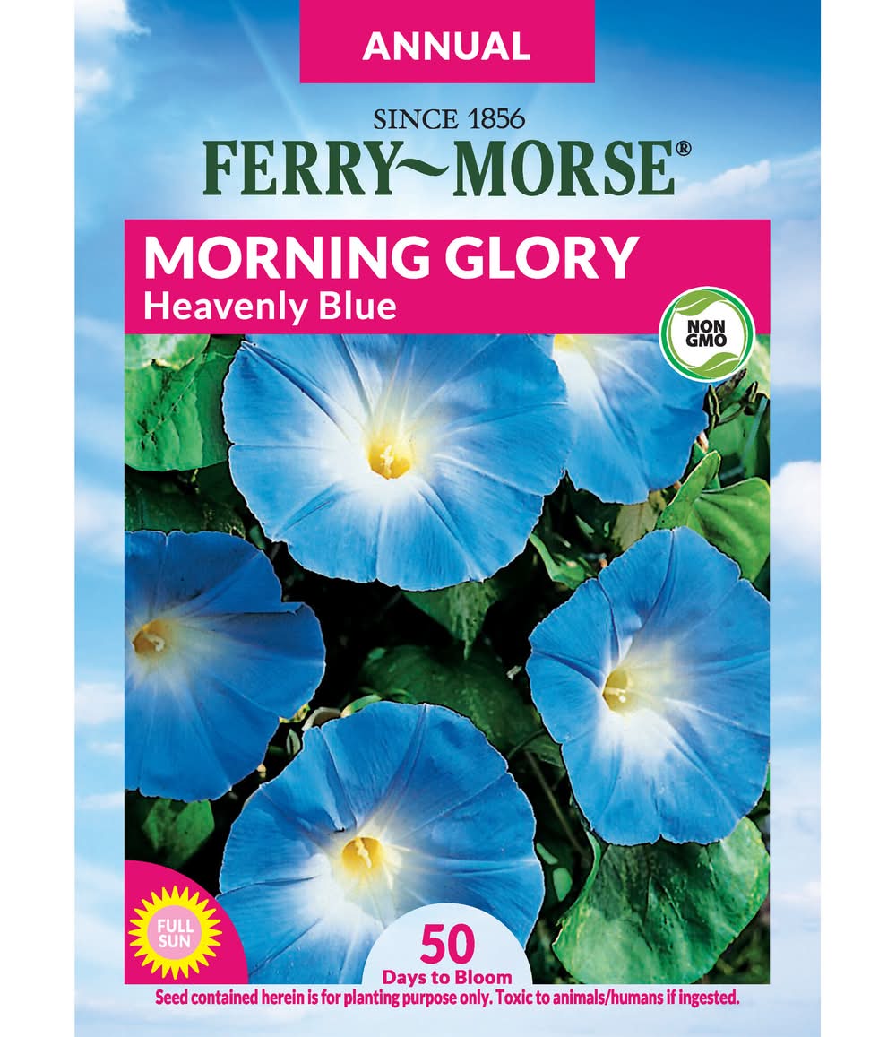 Ferry-Morse Morning Glory Seeds 70 Count