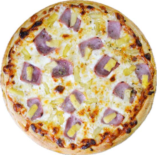 Singas Famous Pizza photo 2
