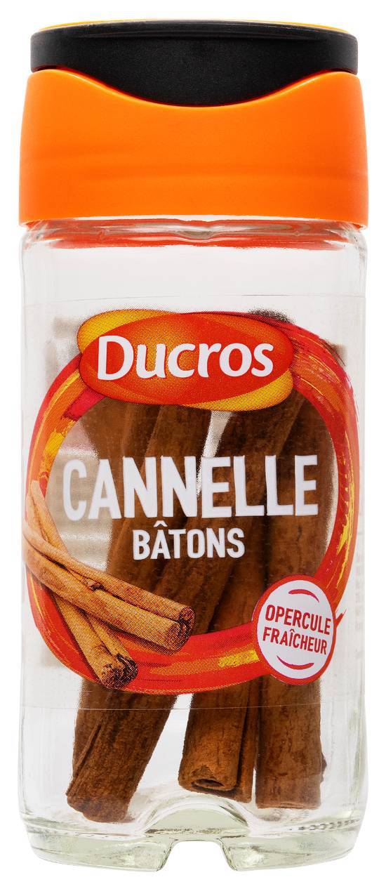 Cannelle - ducros - 10g