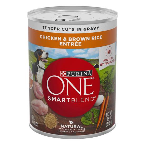 Purina One Smartblend Chicken & Brown Rice Wet Adult Dog Food