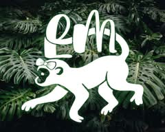 La Monita Jungle (Pachuca)