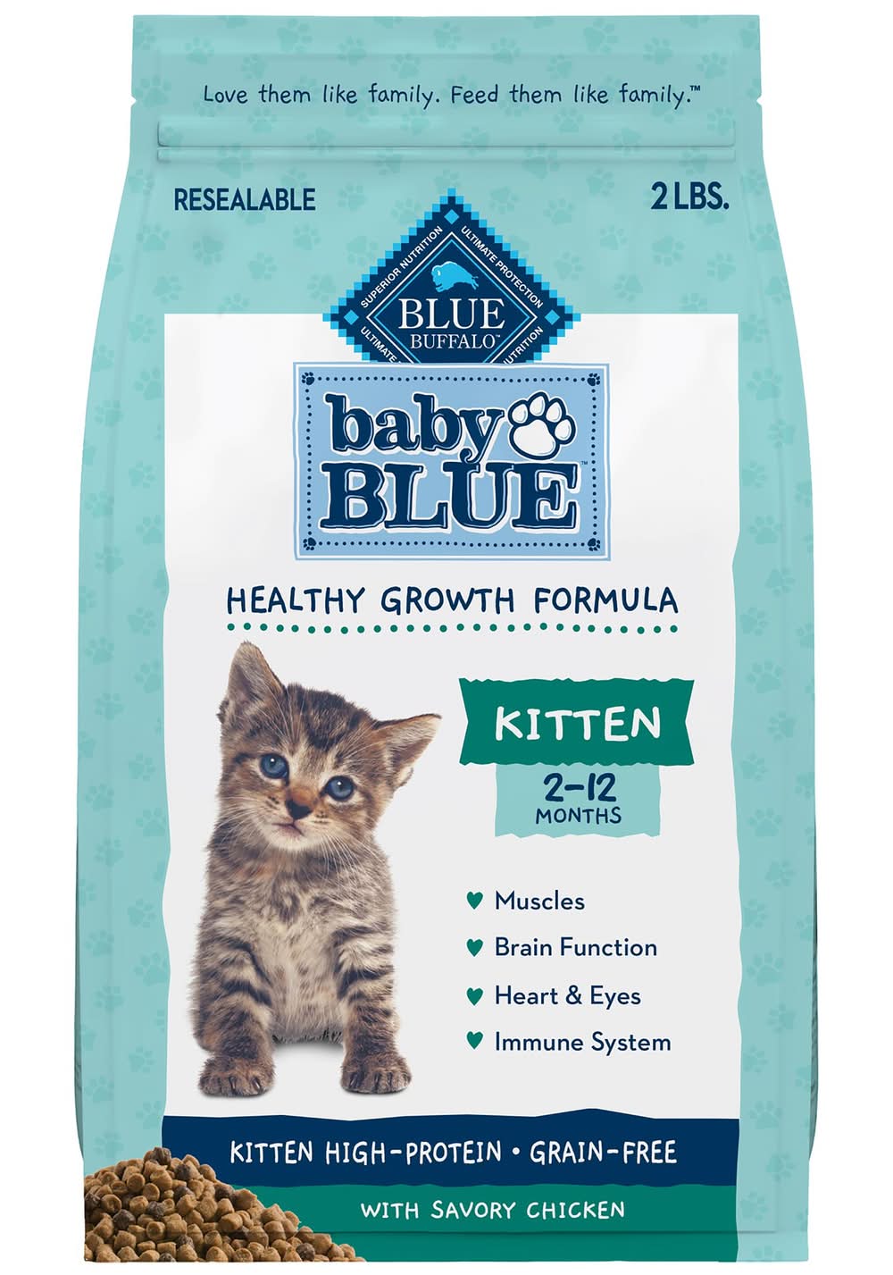 special kitty cat food wet Earthborn Holistic Chicken Jumble Grain Free Wet Cat Food 5.5 oz main image 1