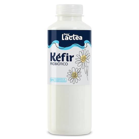 Kéfir Día Láctea vaso 500 g