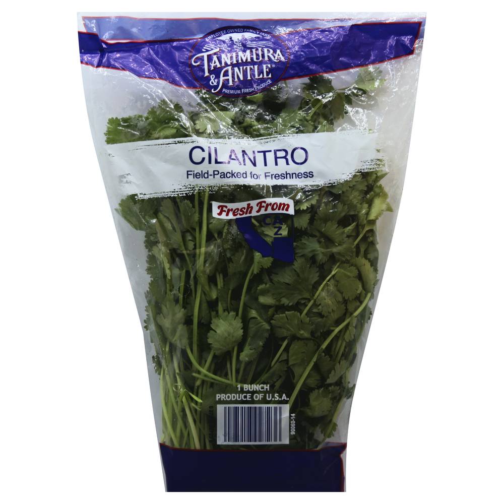 Tanimura & Antle Cilantro Bunch