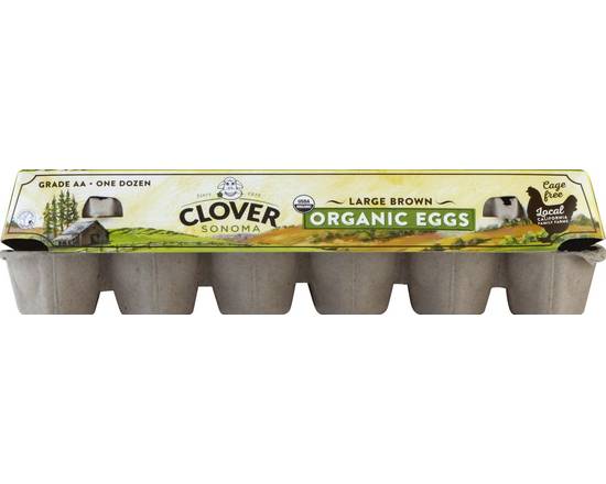 Clover Sonoma · Organic Large Brown Eggs Grade AA (12 eggs)