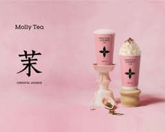 Molly Tea 茉莉奶白- Houston (9889 Bellaire Boulevard)