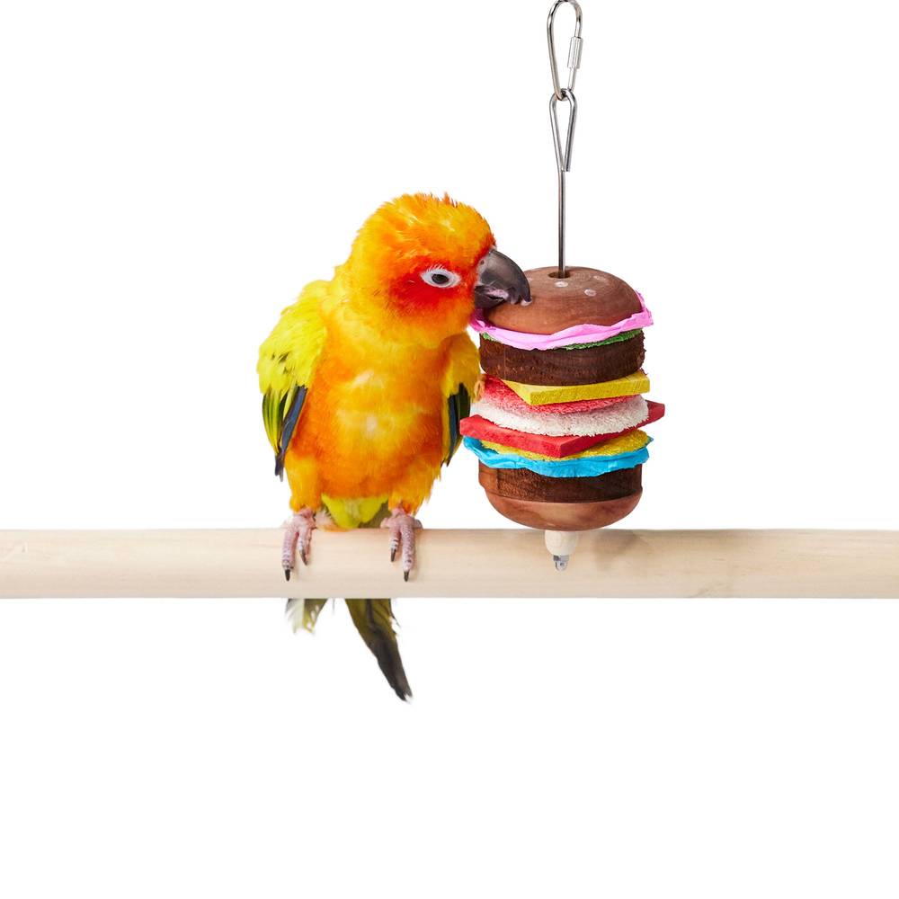 All Living Things® Hamburger Loofah Bird Toy