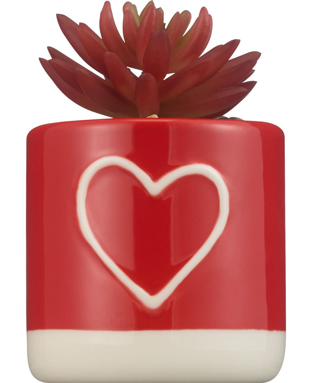 CVS Pharmacy Faux Ceramic Succulent Plant (3.5 In/Pink)