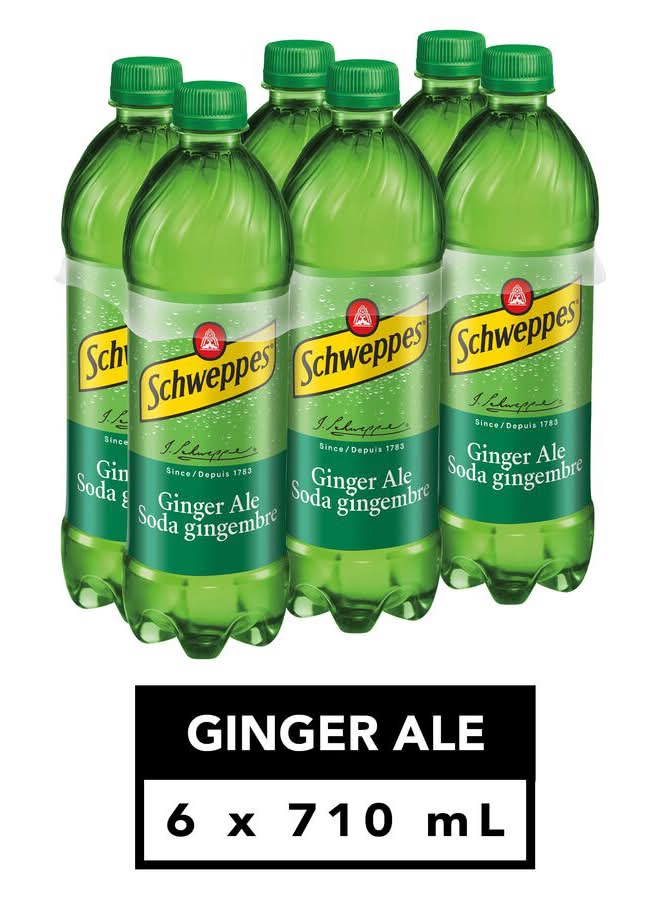 Schweppes Ginger Ale (6 x 4.26 L)