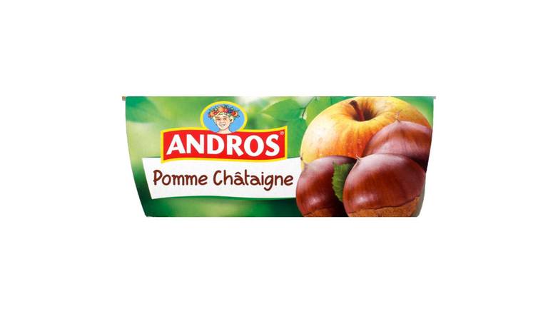 Andros Dessert fruitier pomme châtaigne Les 4 pots de 100g