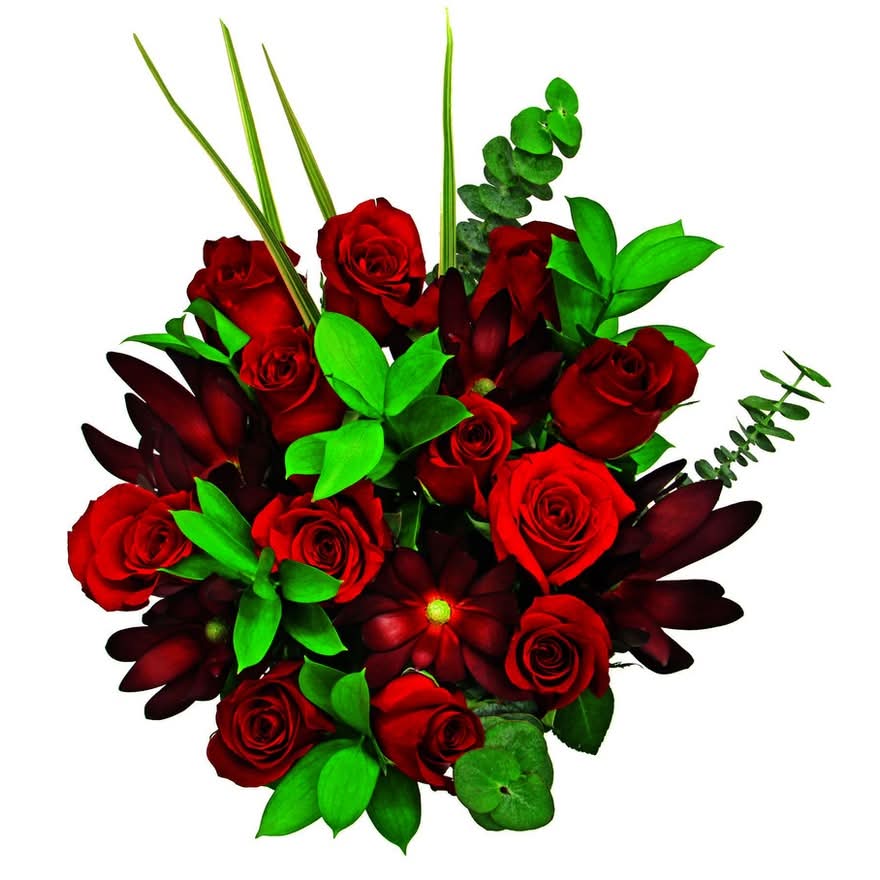 Rose Red Premium 1 Dozen 60Cm Flowers
