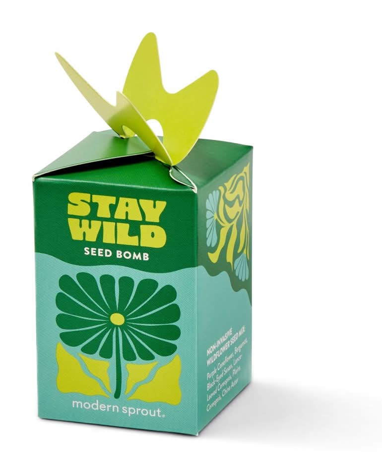 Modern Sprout® You're Wild Flower Seed Bomb
