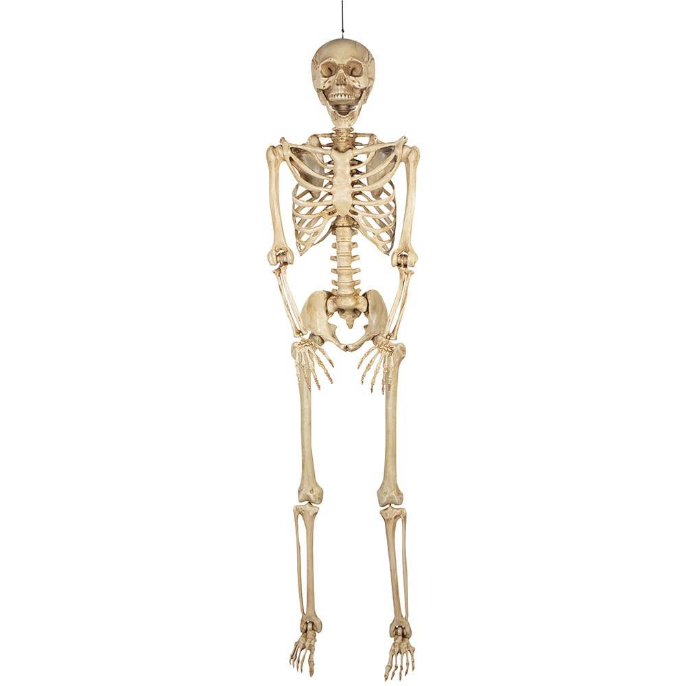 Haunted Living 7-ft Hanging Poseable Skeleton Decoration | 229262