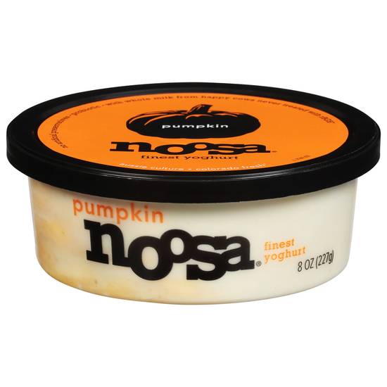 Noosa Pumpkin Yogurt