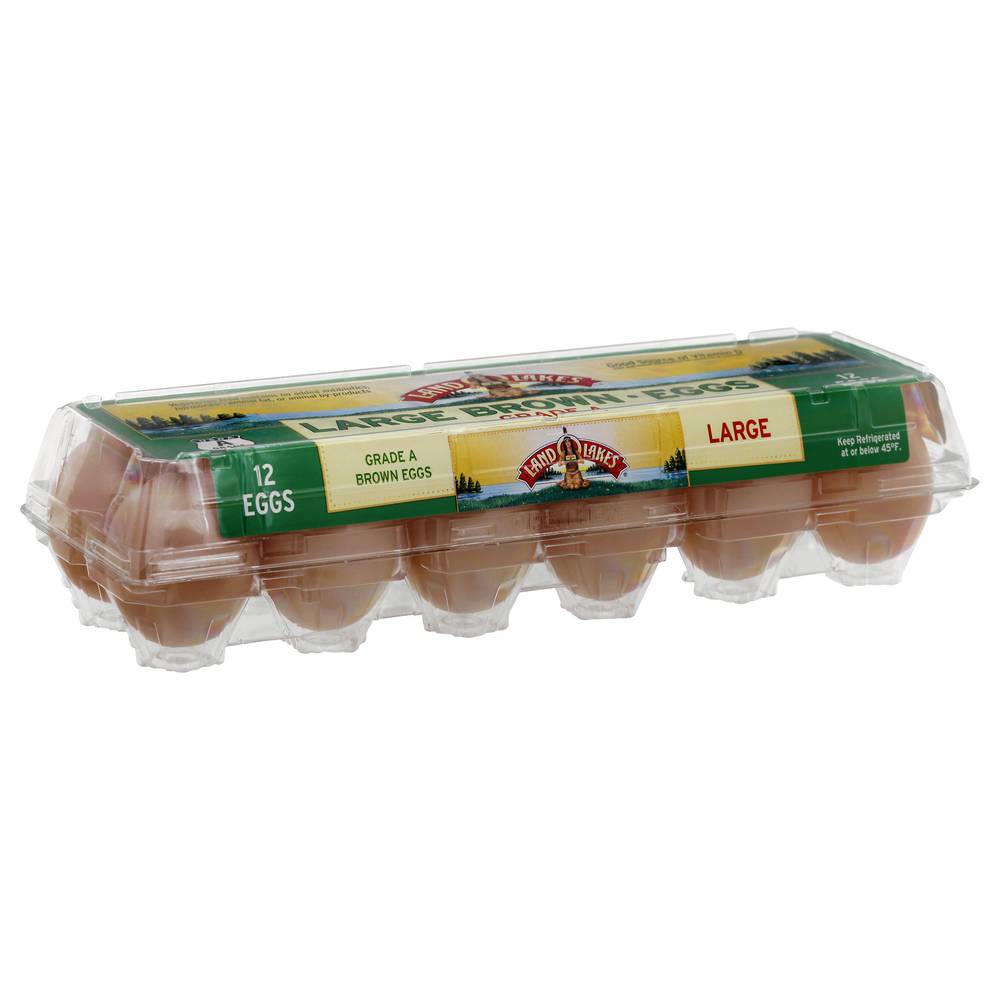 Land O'lakes Farm Fresh Grade a Brown Eggs (12 ct) (L)