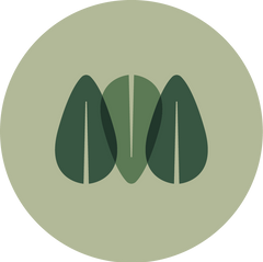 Plant Life (4245 Henderson Blvd)