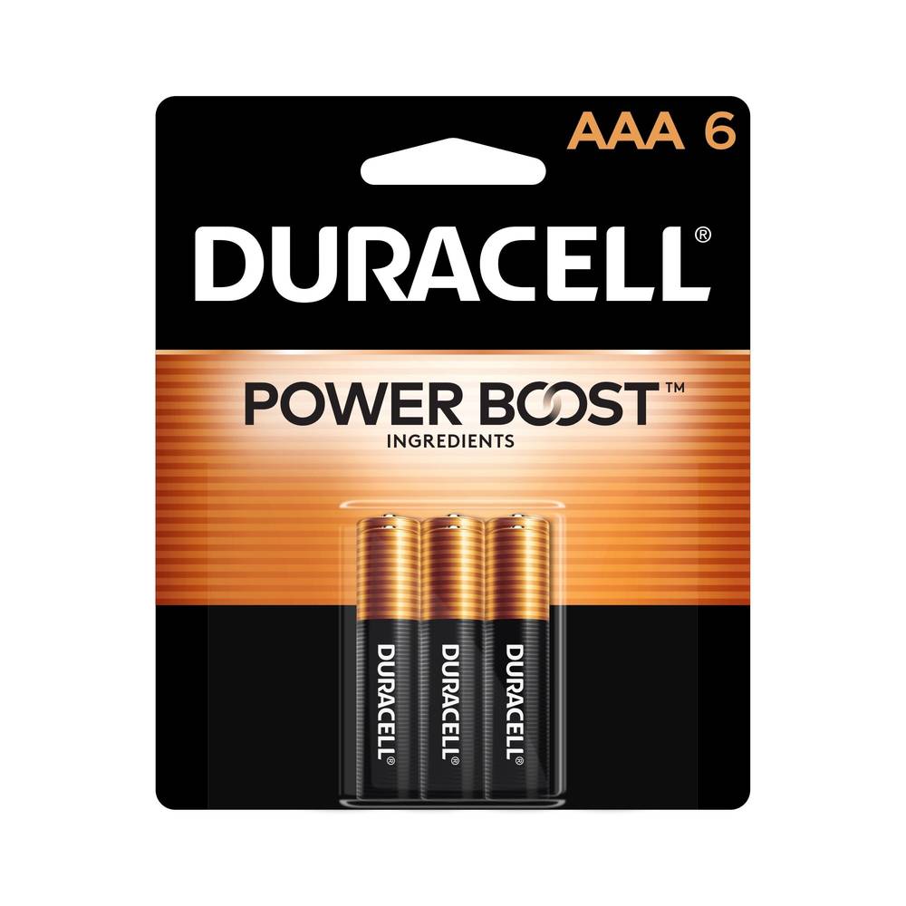 Duracell Coppertop AAA Alkaline Batteries, 6 ct