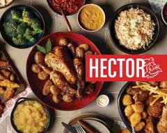 Hector Chicken - Toison d'Or