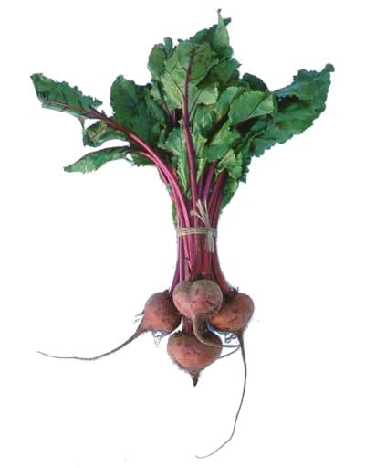 Beetroot Bunch