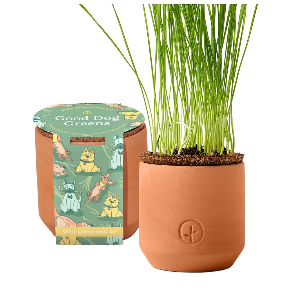 Modern Sprout Tiny Terracotta Grow Kit-Good Dog Gr