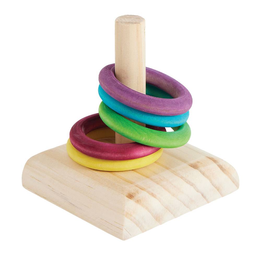 All Living Things Ring Toss Bird Toy, Medium