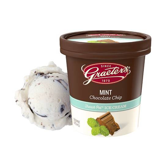 Mint Chocolate Chip Pint