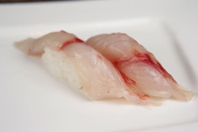 Stripe Bass