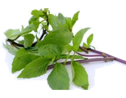 Thai Basil