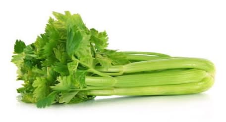 Celery
