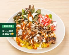 THE OVER RICE 
