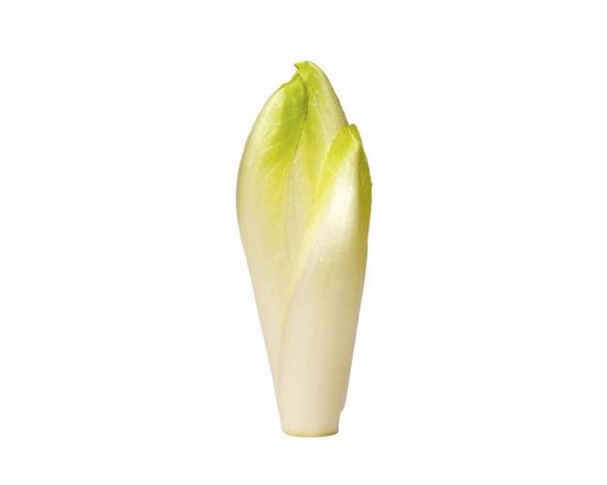 Belgian Endive Lettuce