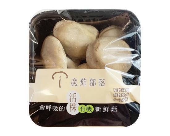 蕈優-有機活株鮮香菇(150g/盒)