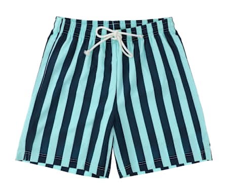 Young Mens Printed Swim Trunks Small Stripes