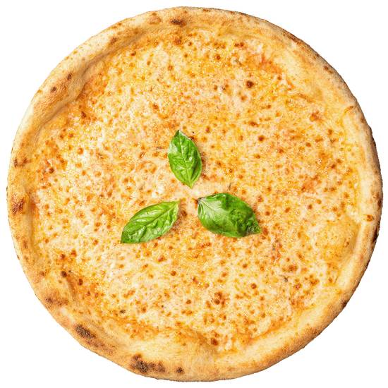 Pizza Margherita