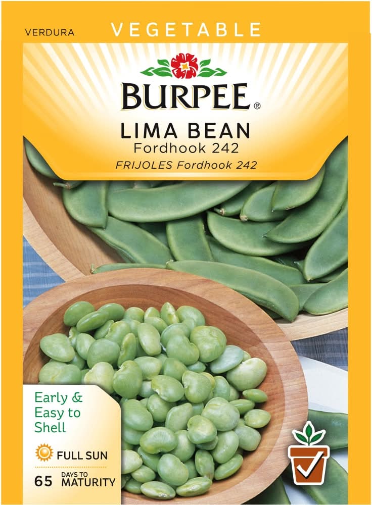 Burpee® Fordhook 242 Lima Bush Bean Seeds - Green