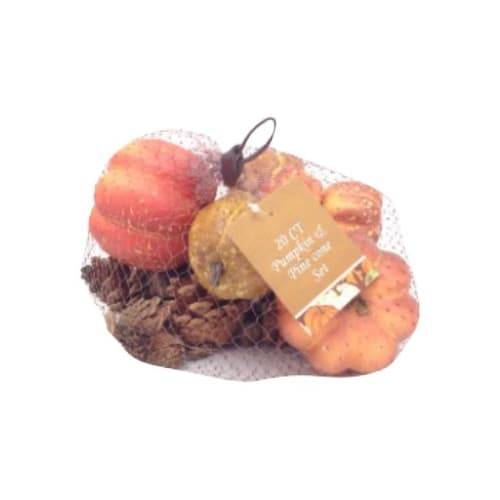 Pdc Pumpkin & Pine Cone Set (20 ct)